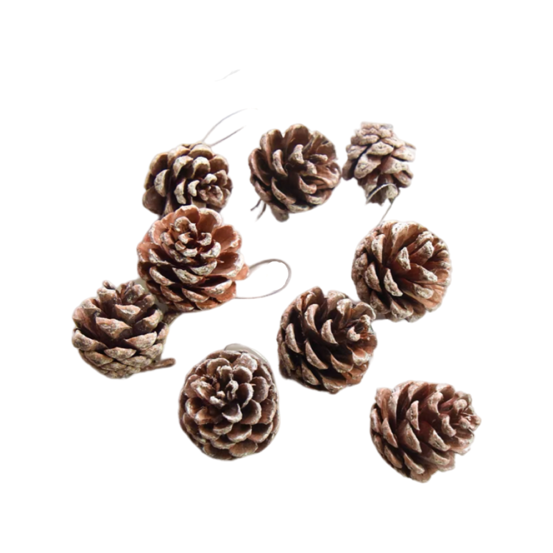 Christmas decoration plug-in ~ snowflakes and pine cones