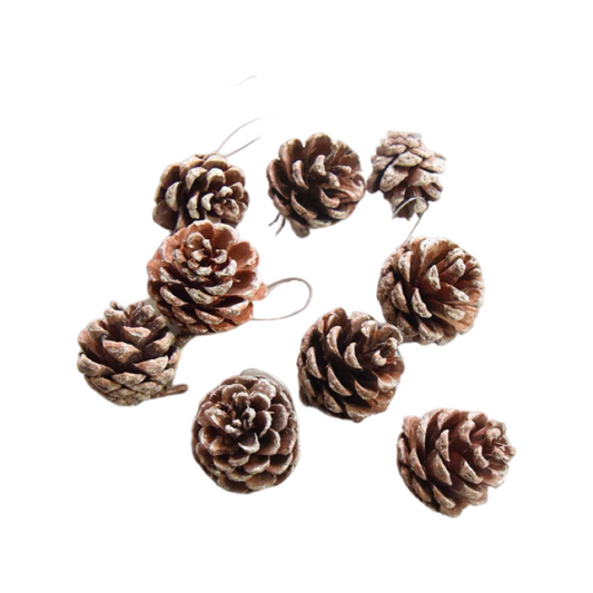 聖誕裝飾插件~雪花松果